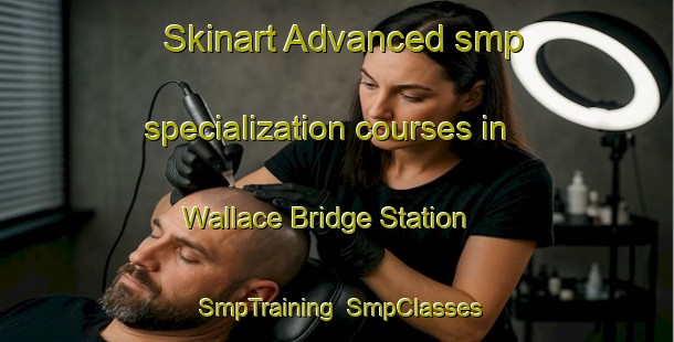 Skinart Advanced smp specialization courses in Wallace Bridge Station | SmpTraining | SmpClasses | SkinartTraining-Canada