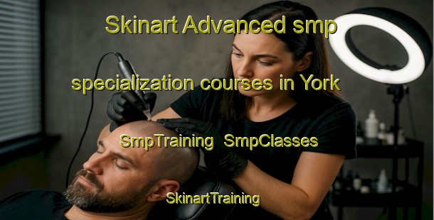 Skinart Advanced smp specialization courses in York | SmpTraining | SmpClasses | SkinartTraining-Canada