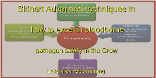 Skinart Advanced techniques in how to excel in bloodborne pathogen safety in the Crow Lake area | BbpTraining | BbpClasses | SkinartTraining-Canada