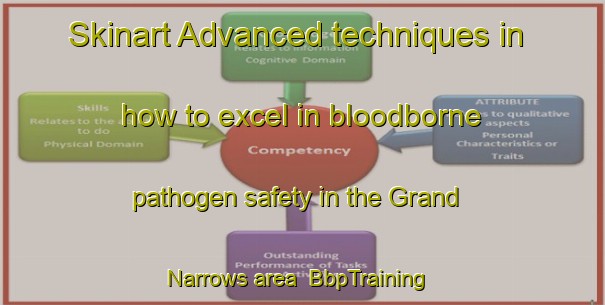 Skinart Advanced techniques in how to excel in bloodborne pathogen safety in the Grand Narrows area | BbpTraining | BbpClasses | SkinartTraining-Canada