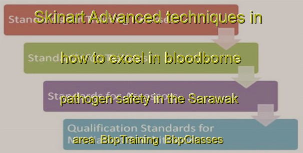 Skinart Advanced techniques in how to excel in bloodborne pathogen safety in the Sarawak area | BbpTraining | BbpClasses | SkinartTraining-Canada