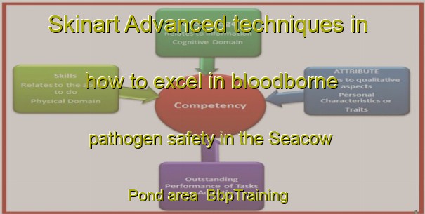 Skinart Advanced techniques in how to excel in bloodborne pathogen safety in the Seacow Pond area | BbpTraining | BbpClasses | SkinartTraining-Canada