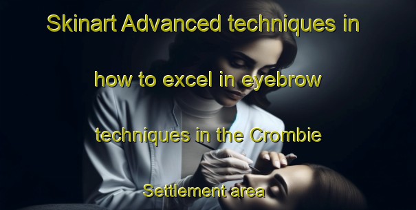 Skinart Advanced techniques in how to excel in eyebrow techniques in the Crombie Settlement area | EyebrowTraining | EyebrowClasses | SkinartTraining-Canada