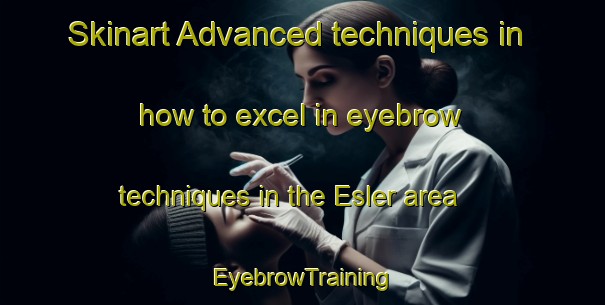 Skinart Advanced techniques in how to excel in eyebrow techniques in the Esler area | EyebrowTraining | EyebrowClasses | SkinartTraining-Canada