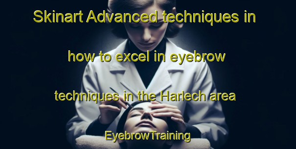 Skinart Advanced techniques in how to excel in eyebrow techniques in the Harlech area | EyebrowTraining | EyebrowClasses | SkinartTraining-Canada