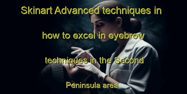 Skinart Advanced techniques in how to excel in eyebrow techniques in the Second Peninsula area | EyebrowTraining | EyebrowClasses | SkinartTraining-Canada