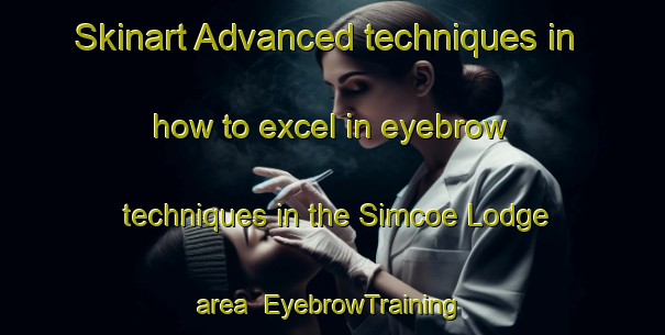 Skinart Advanced techniques in how to excel in eyebrow techniques in the Simcoe Lodge area | EyebrowTraining | EyebrowClasses | SkinartTraining-Canada