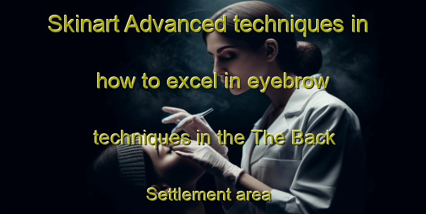 Skinart Advanced techniques in how to excel in eyebrow techniques in the The Back Settlement area | EyebrowTraining | EyebrowClasses | SkinartTraining-Canada