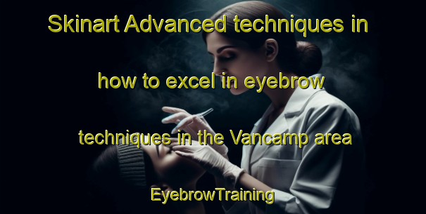 Skinart Advanced techniques in how to excel in eyebrow techniques in the Vancamp area | EyebrowTraining | EyebrowClasses | SkinartTraining-Canada