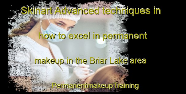 Skinart Advanced techniques in how to excel in permanent makeup in the Briar Lake area | PermanentmakeupTraining | PermanentmakeupClasses | SkinartTraining-Canada