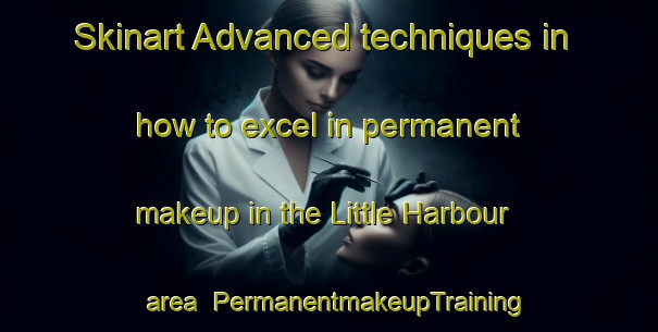 Skinart Advanced techniques in how to excel in permanent makeup in the Little Harbour area | PermanentmakeupTraining | PermanentmakeupClasses | SkinartTraining-Canada