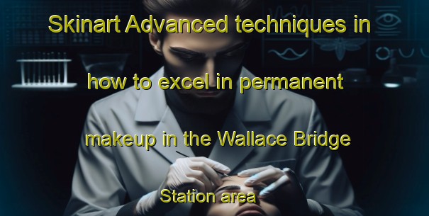 Skinart Advanced techniques in how to excel in permanent makeup in the Wallace Bridge Station area | PermanentmakeupTraining | PermanentmakeupClasses | SkinartTraining-Canada