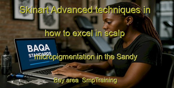 Skinart Advanced techniques in how to excel in scalp micropigmentation in the Sandy Bay area | SmpTraining | SmpClasses | SkinartTraining-Canada