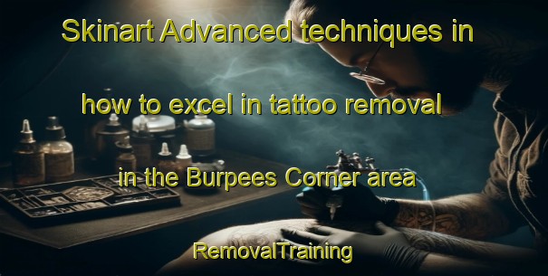 Skinart Advanced techniques in how to excel in tattoo removal in the Burpees Corner area | RemovalTraining | RemovalClasses | SkinartTraining-Canada