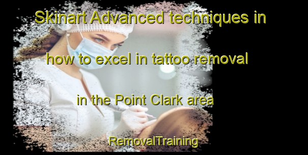 Skinart Advanced techniques in how to excel in tattoo removal in the Point Clark area | RemovalTraining | RemovalClasses | SkinartTraining-Canada