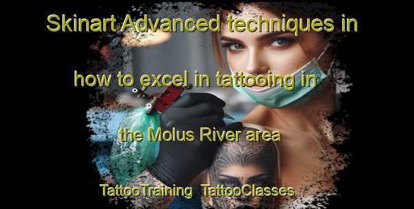 Skinart Advanced techniques in how to excel in tattooing in the Molus River area | TattooTraining | TattooClasses | SkinartTraining-Canada