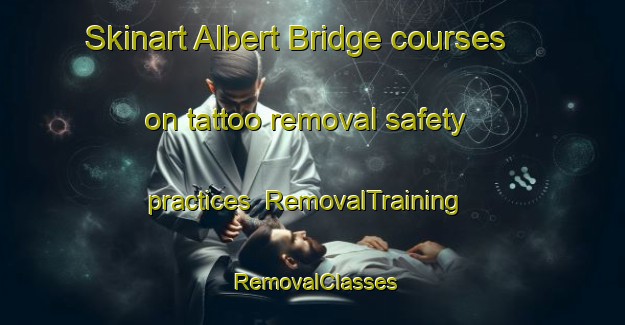 Skinart Albert Bridge courses on tattoo removal safety practices | RemovalTraining | RemovalClasses | SkinartTraining-Canada