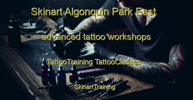 Skinart Algonquin Park East advanced tattoo workshops | #TattooTraining #TattooClasses #SkinartTraining-Canada