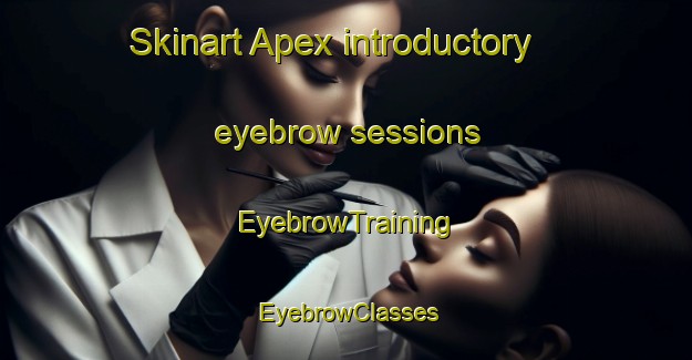 Skinart Apex introductory eyebrow sessions | EyebrowTraining | EyebrowClasses | SkinartTraining-Canada