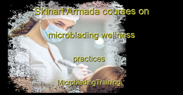 Skinart Armada courses on microblading wellness practices | MicrobladingTraining | MicrobladingClasses | SkinartTraining-Canada