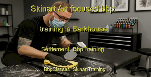 Skinart Art-focused bbp training in Barkhouse Settlement | BbpTraining | BbpClasses | SkinartTraining-Canada