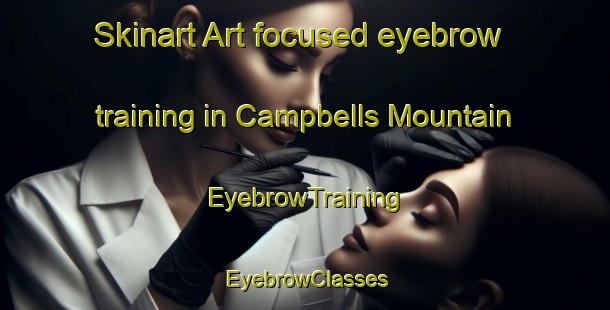 Skinart Art-focused eyebrow training in Campbells Mountain | EyebrowTraining | EyebrowClasses | SkinartTraining-Canada