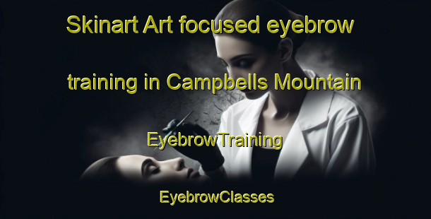 Skinart Art-focused eyebrow training in Campbells Mountain | EyebrowTraining | EyebrowClasses | SkinartTraining-Canada