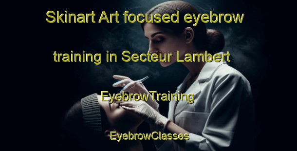 Skinart Art-focused eyebrow training in Secteur Lambert | EyebrowTraining | EyebrowClasses | SkinartTraining-Canada