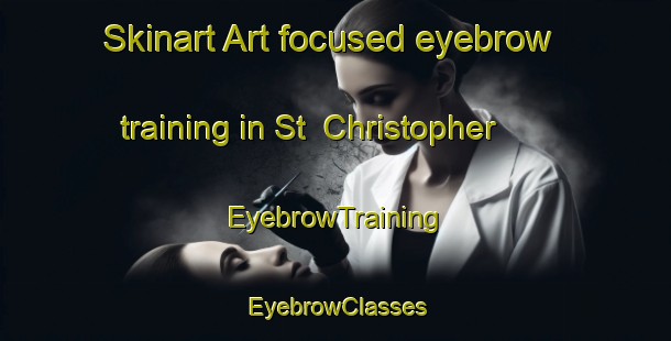 Skinart Art-focused eyebrow training in St  Christopher | EyebrowTraining | EyebrowClasses | SkinartTraining-Canada