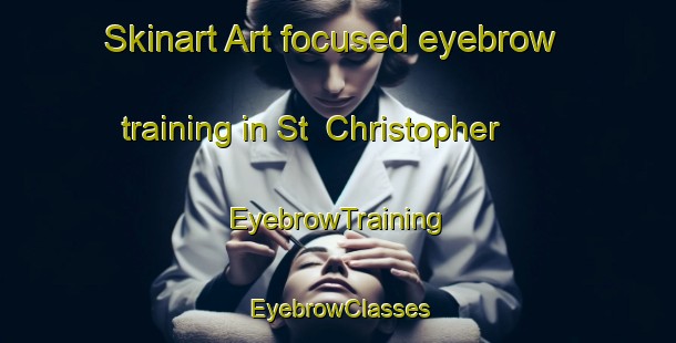 Skinart Art-focused eyebrow training in St  Christopher | EyebrowTraining | EyebrowClasses | SkinartTraining-Canada