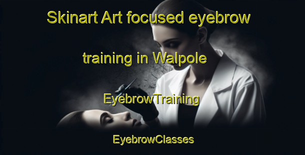 Skinart Art-focused eyebrow training in Walpole | EyebrowTraining | EyebrowClasses | SkinartTraining-Canada