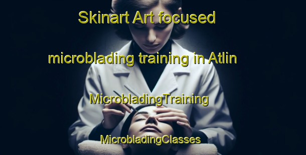 Skinart Art-focused microblading training in Atlin | MicrobladingTraining | MicrobladingClasses | SkinartTraining-Canada
