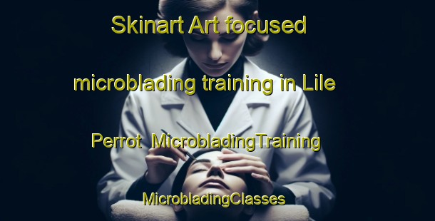 Skinart Art-focused microblading training in Lile Perrot | MicrobladingTraining | MicrobladingClasses | SkinartTraining-Canada