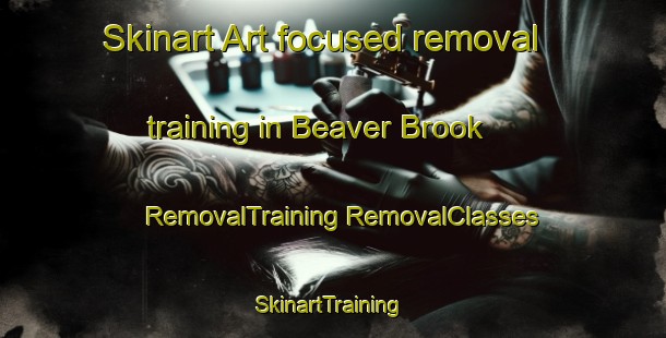 Skinart Art-focused removal training in Beaver Brook | #RemovalTraining #RemovalClasses #SkinartTraining-Canada