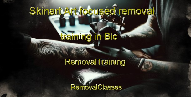 Skinart Art-focused removal training in Bic | RemovalTraining | RemovalClasses | SkinartTraining-Canada