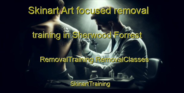 Skinart Art-focused removal training in Sherwood Forrest | #RemovalTraining #RemovalClasses #SkinartTraining-Canada