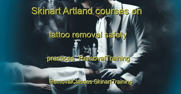 Skinart Artland courses on tattoo removal safety practices | #RemovalTraining #RemovalClasses #SkinartTraining-Canada