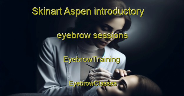 Skinart Aspen introductory eyebrow sessions | EyebrowTraining | EyebrowClasses | SkinartTraining-Canada
