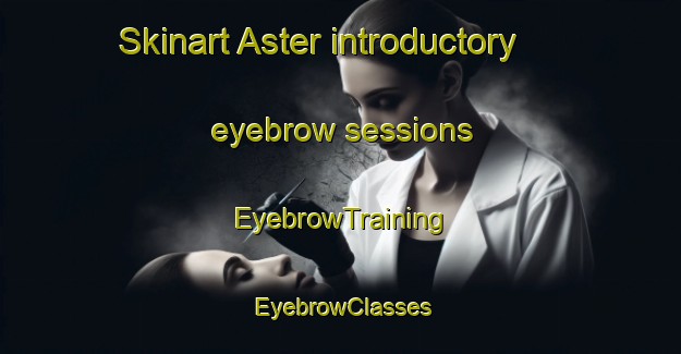 Skinart Aster introductory eyebrow sessions | EyebrowTraining | EyebrowClasses | SkinartTraining-Canada