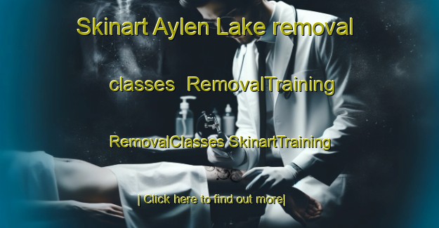 Skinart Aylen Lake removal classes | #RemovalTraining #RemovalClasses #SkinartTraining-Canada