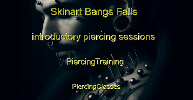 Skinart Bangs Falls introductory piercing sessions | #PiercingTraining #PiercingClasses #SkinartTraining-Canada