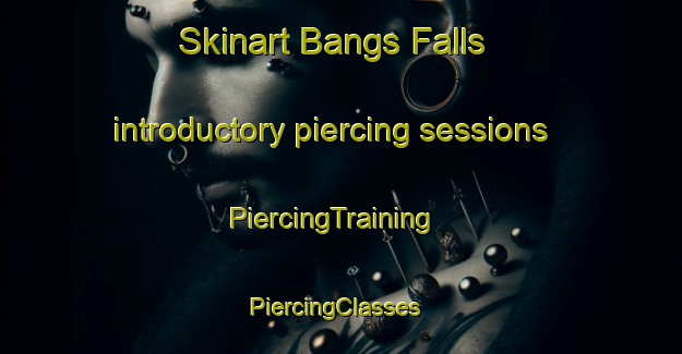 Skinart Bangs Falls introductory piercing sessions | PiercingTraining | PiercingClasses | SkinartTraining-Canada