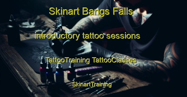 Skinart Bangs Falls introductory tattoo sessions | #TattooTraining #TattooClasses #SkinartTraining-Canada