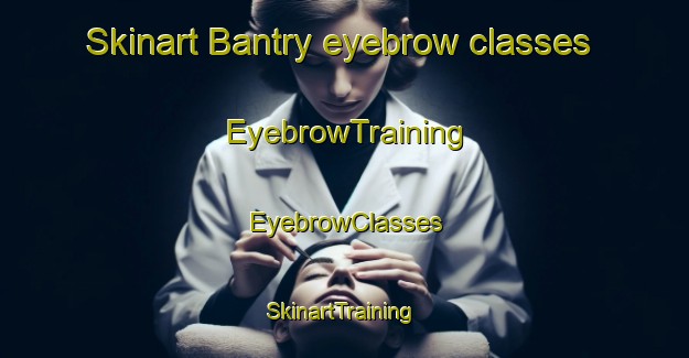 Skinart Bantry eyebrow classes | EyebrowTraining | EyebrowClasses | SkinartTraining-Canada