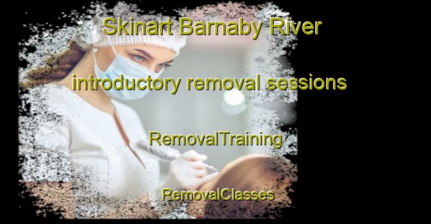 Skinart Barnaby River introductory removal sessions | RemovalTraining | RemovalClasses | SkinartTraining-Canada
