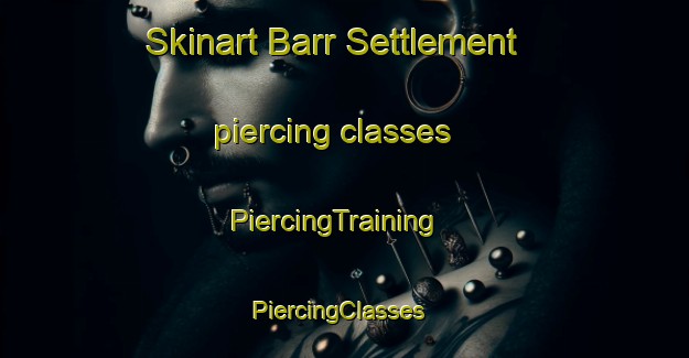 Skinart Barr Settlement piercing classes | PiercingTraining | PiercingClasses | SkinartTraining-Canada
