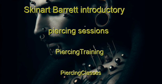 Skinart Barrett introductory piercing sessions | #PiercingTraining #PiercingClasses #SkinartTraining-Canada