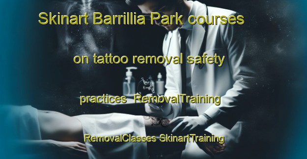 Skinart Barrillia Park courses on tattoo removal safety practices | #RemovalTraining #RemovalClasses #SkinartTraining-Canada