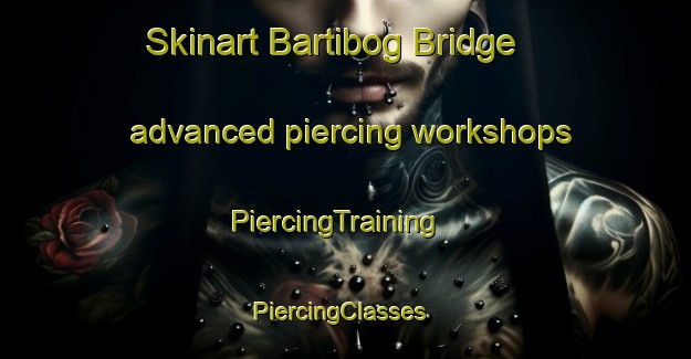 Skinart Bartibog Bridge advanced piercing workshops | PiercingTraining | PiercingClasses | SkinartTraining-Canada