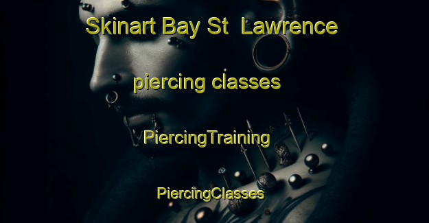Skinart Bay St  Lawrence piercing classes | PiercingTraining | PiercingClasses | SkinartTraining-Canada